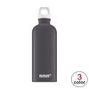 シグ SIGG　トラベラー ルシッドボトル 600ml　水筒