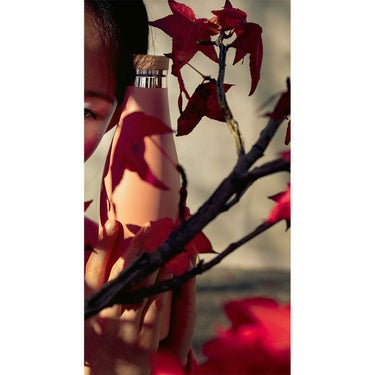 シグ SIGG　 メリディアン 0.5L ブラック　水筒  詳細15