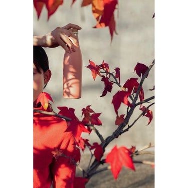 シグ SIGG　 メリディアン 0.5L ブラック　水筒  詳細16