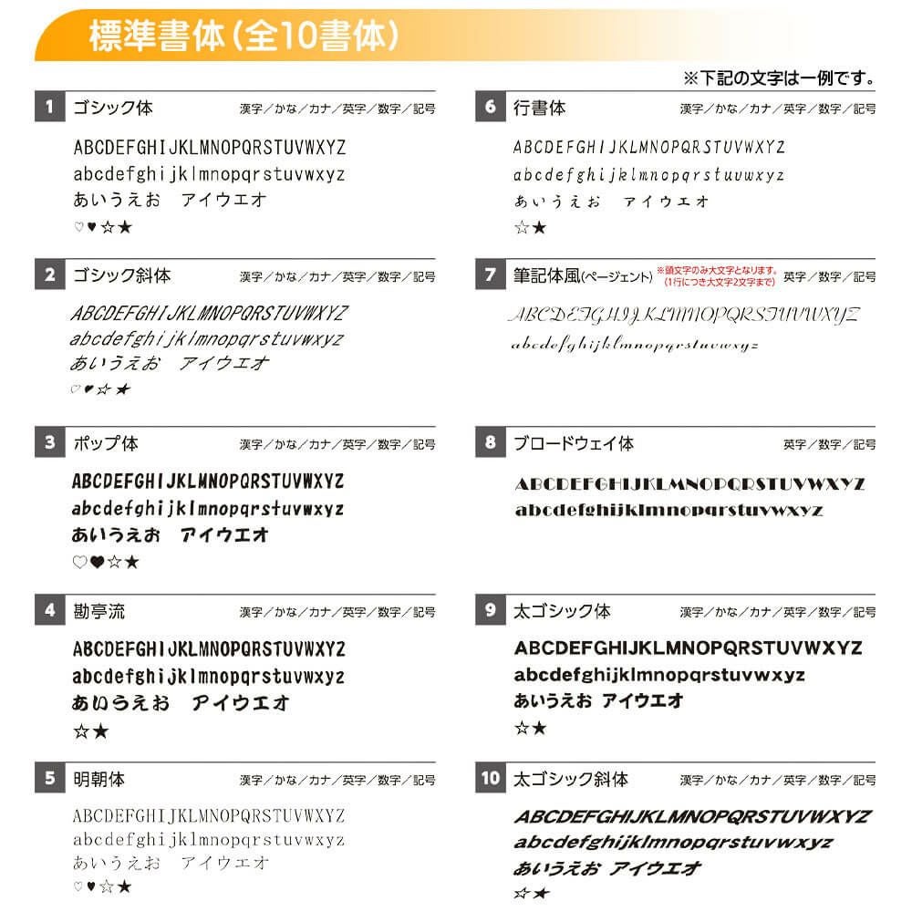 オウンネーム専用 テーラーメイド　TP5x 2026年モデル ゴルフボール　1ダース（12球入り） 詳細2