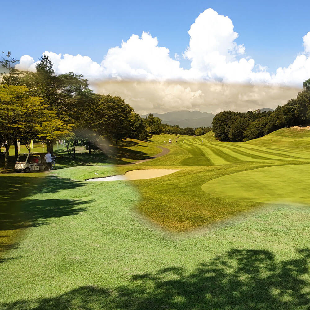  ESS Crossblade NARO サングラス EE9034-21 CARBON GRAY/MIRRORED BRASS 詳細5