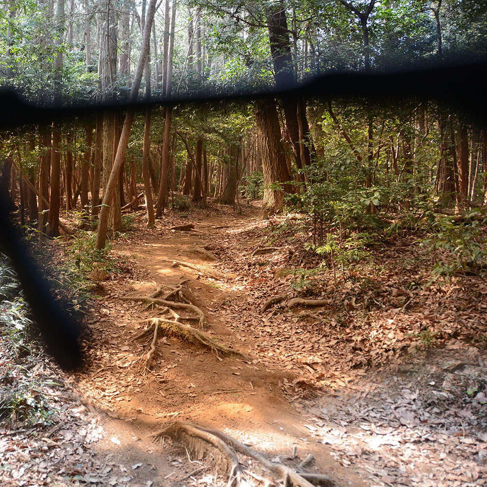  ESS Crossblade NARO サングラス EE9034-21 CARBON GRAY/MIRRORED BRASS 詳細6