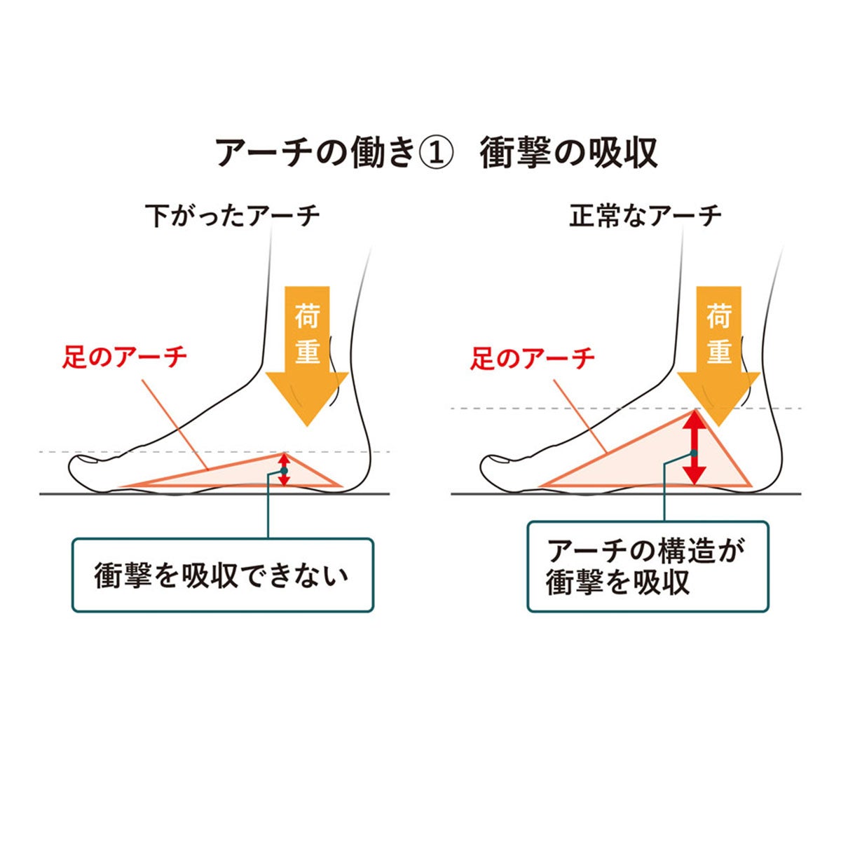 アカイシ AKAISHI　アーチフィッター 156 フットリリース サンダル ベージュ AF156019BG ベージュ（AF156019BG） 詳細8