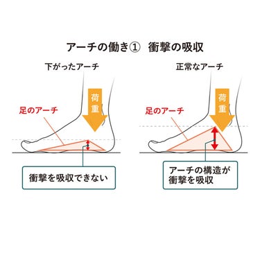 アカイシ AKAISHI　アーチフィッター 156 フットリリース サンダル ベージュ AF156019BG ベージュ（AF156019BG） 詳細8