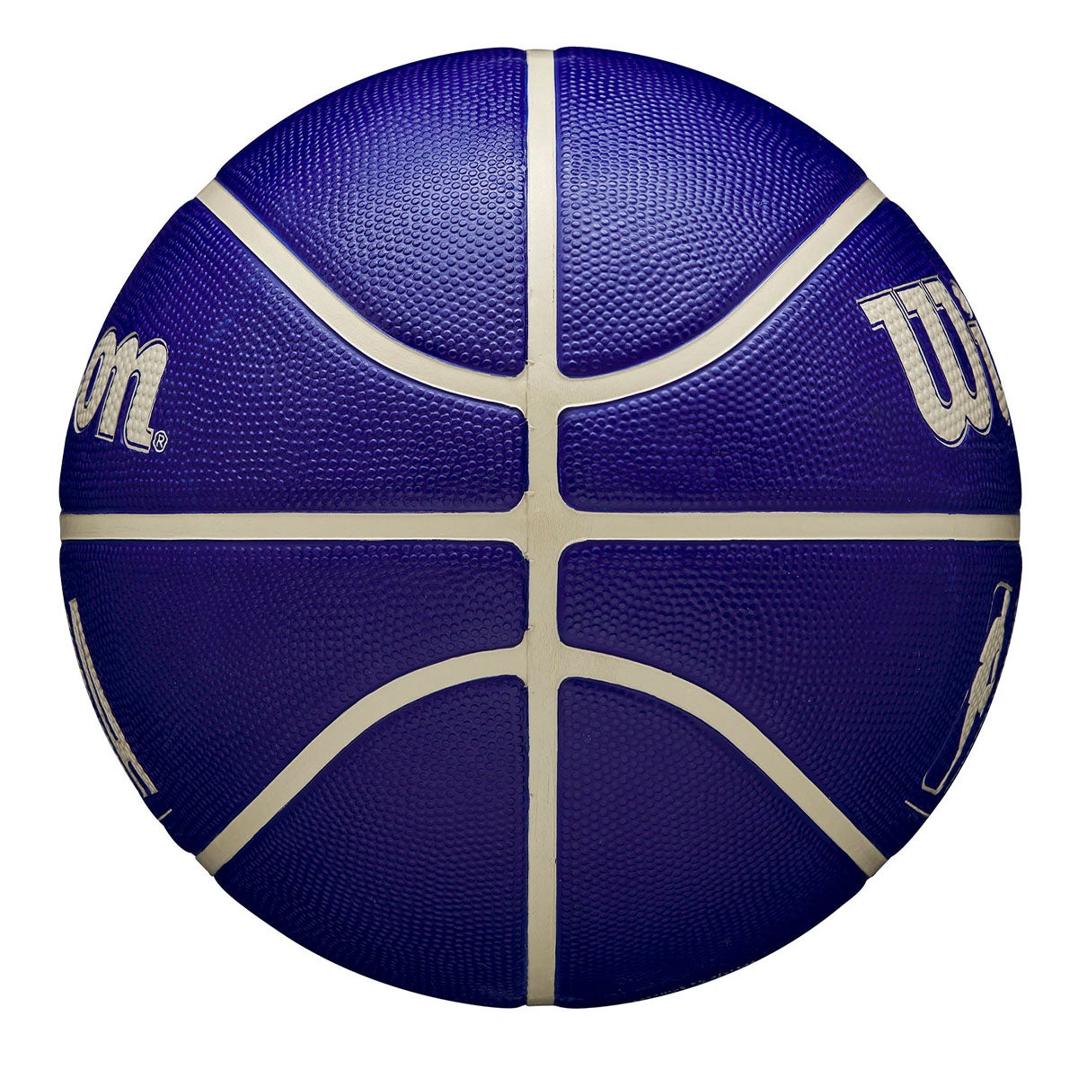 ウイルソン Wilson　NBA DRV バスケットボール 5号球 インディゴ WZ3016201XB5 詳細4