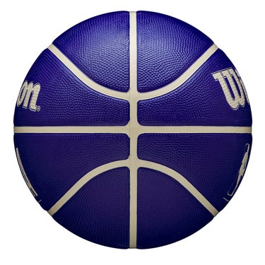 ウイルソン Wilson　NBA DRV バスケットボール 7号球 インディゴ WZ3016201XB7 詳細4