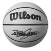 ウイルソン Wilson　NBA PLAYER ICON UV バスケットボール LEBRON 7号球 グレー WZ4030501XB7