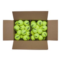 ウイルソン Wilson　TRINITI CLUB TBALL テニスボール Yellow WR8201501001