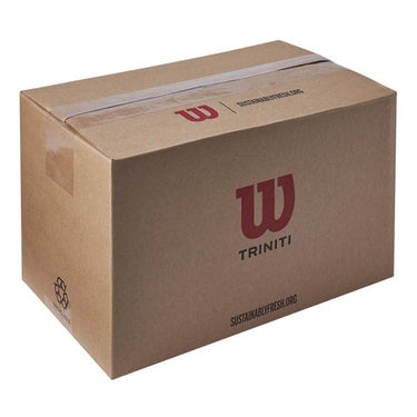 ウイルソン Wilson　TRINITI CLUB TBALL ボール Yellow WR8201501001 詳細2