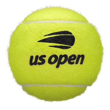 ウイルソン Wilson　US OPEN EXTRA DUTY ボール YELLOW WRT1000J