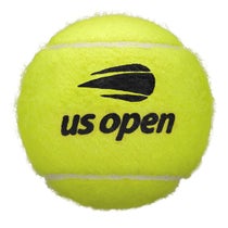 ウイルソン Wilson　US OPEN EXTRA DUTY テニスボール 1缶（2球入） WRT1000J