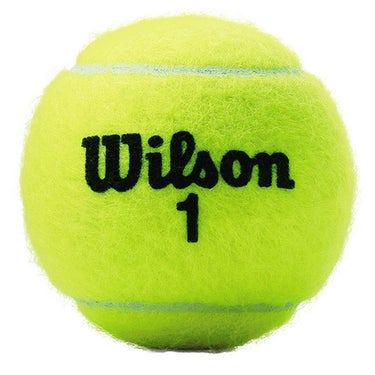 ウイルソン Wilson　US OPEN EXTRA DUTY ボール YELLOW WRT1000J 詳細3