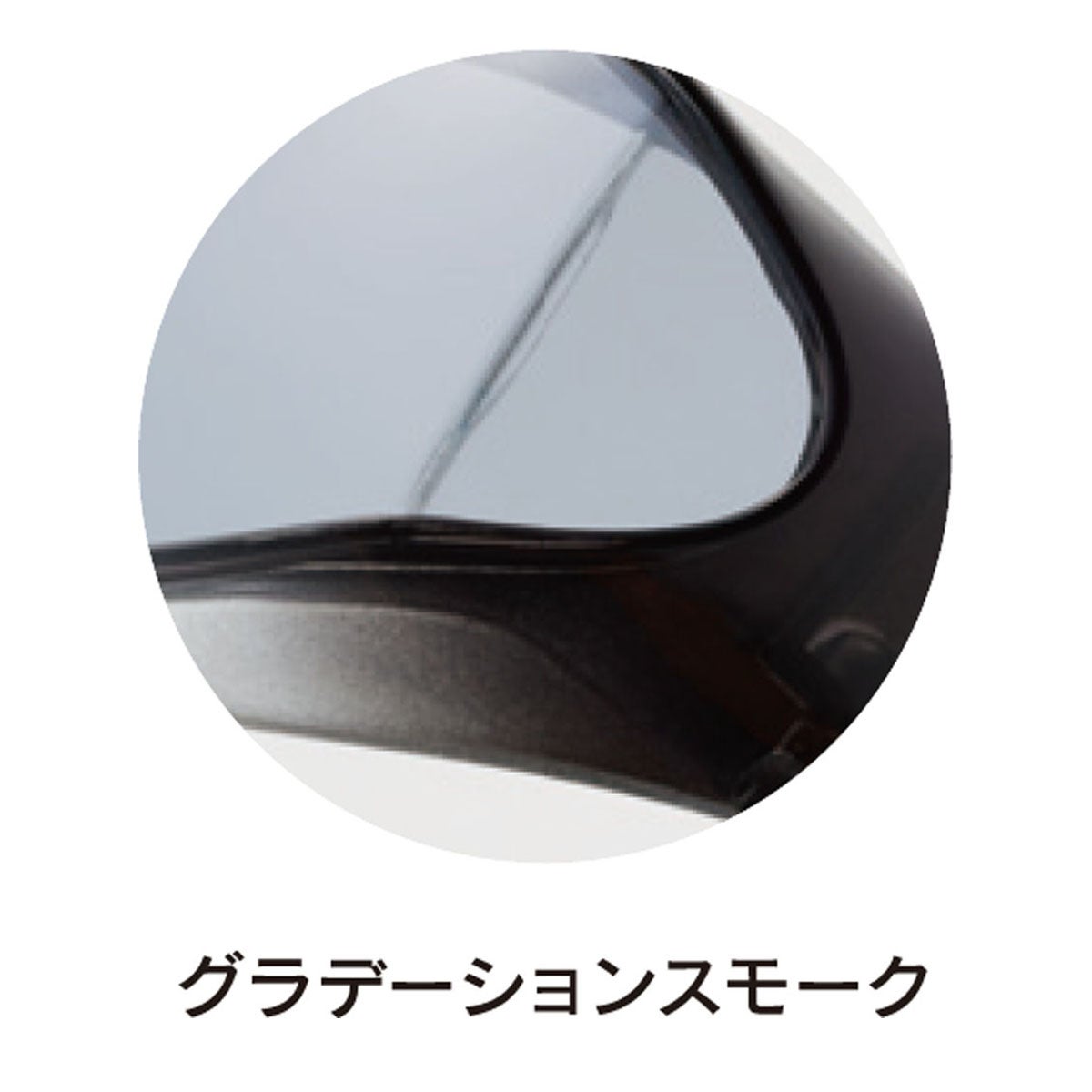 アックス AXE　オーバー サングラス SG604P 詳細5