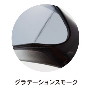 アックス AXE　オーバー サングラス SG604P 詳細5