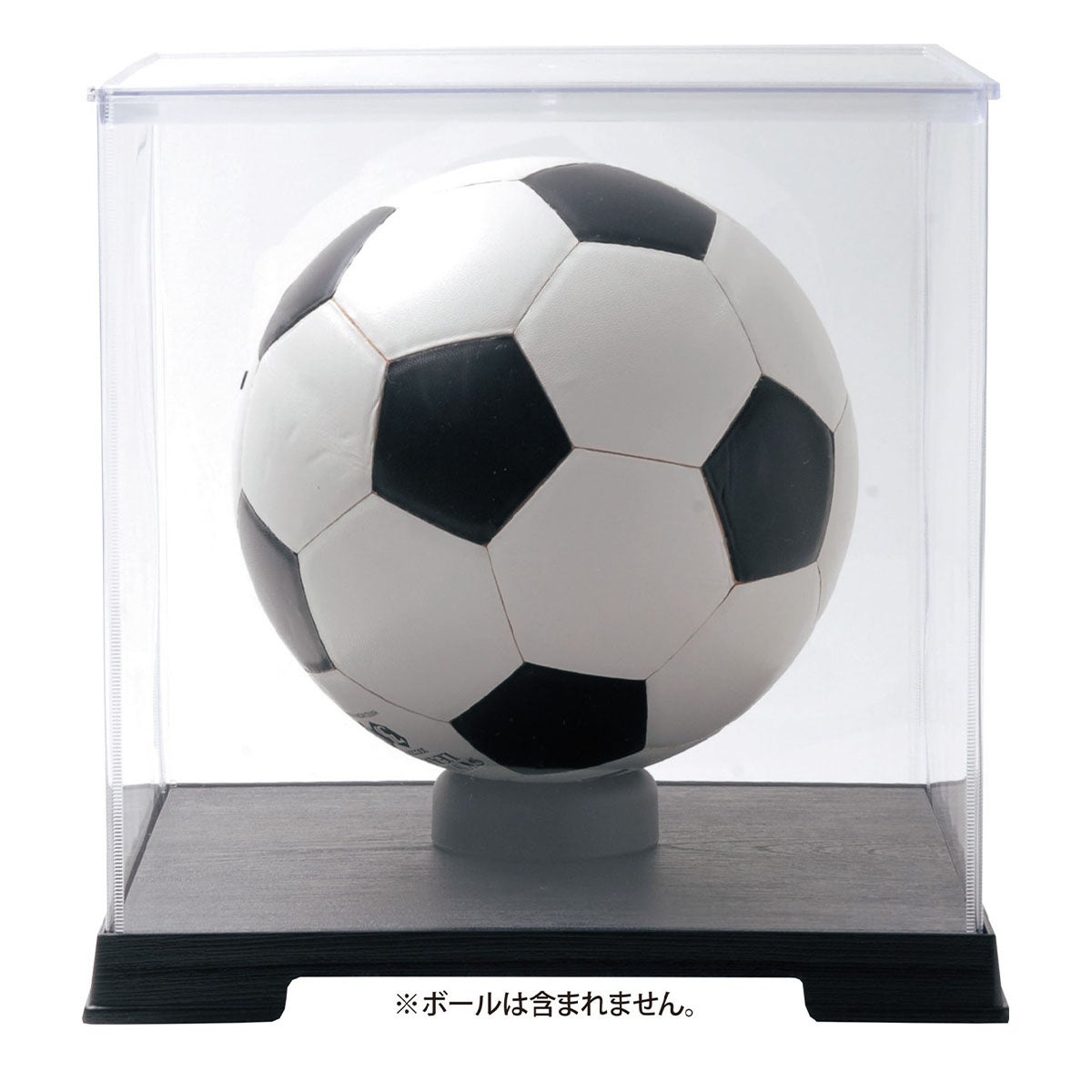 ユニックス UNIX　メモリアルケースHero-Box B-2 透明 FD10-50 詳細4