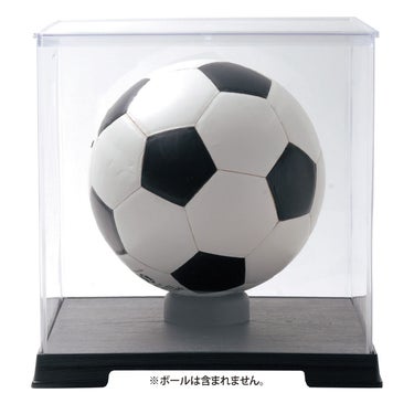 ユニックス UNIX　メモリアルケースHero-Box B-2 透明 FD10-50 詳細4