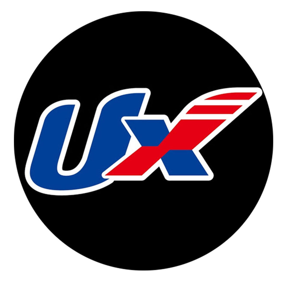 ユニックス UNIX　ゴールデン =私記志= （30枚セット） ゴールド FD14-29 詳細4