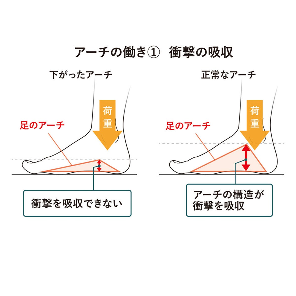 アカイシ AKAISHI　アーチフィッター 156 フットリリース サンダル カーキ AF156019KH 詳細8