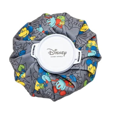 ディズニー 氷のう アイスバッグ XYMG4SE1 19 グレー　2024年モデル グレー