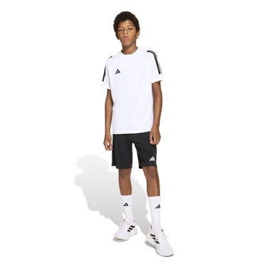 アディダス adidas　セレーノ ショーツ IX708 2026年モデル 画像5(ALT)