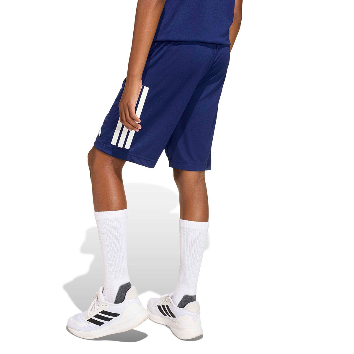 アディダス adidas　セレーノ ショーツ IX708 2026年モデル 画像9(ALT)