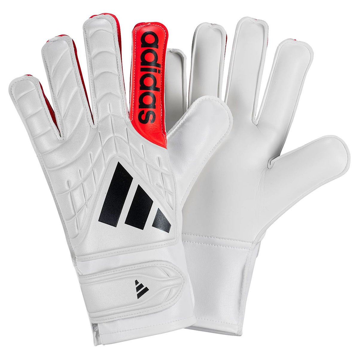 アディダス adidas コパ ゴールキーパーグローブ CLUB SX392 2026年モデル