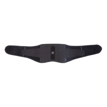 ファイテン Phiten　ファイテンサポーター メタックス 腰用 ハードタイプ　AP2290