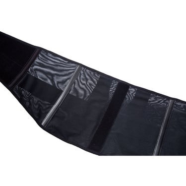 ファイテン Phiten　ファイテンサポーター メタックス 腰用 ミドルタイプ　AP2300 画像4(ALT)