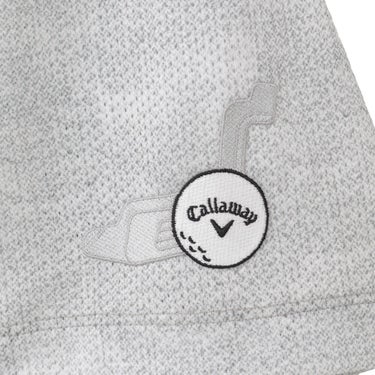 キャロウェイ Callaway　メンズ かざあなメッシュ シャンブレー柄 半袖 ポロシャツ C26134127　2026年モデル 画像9(ALT)