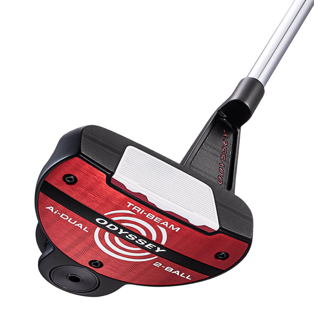 Ai-DUAL TRI-BEAM 2-BALL �p�^�[ [33�C���`]