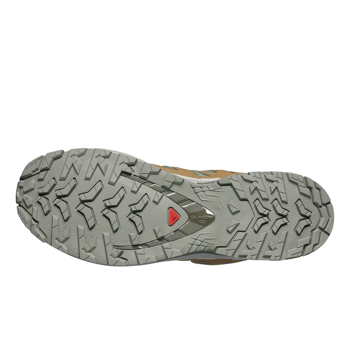 サロモン SALOMON　エックスエー プロ 3D V9 ゴアエックス XA PRO 3D V9 GORE-TEX トレイル ランニングシューズ L49229600 2026 SEDONA SAGE/PLANTATION/PALOMA 詳細2