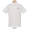 ピンゴルフ メンズ バイアスチェックプリント 半袖 ポロシャツ 621-6160403 [2026年春夏モデル] 詳細2