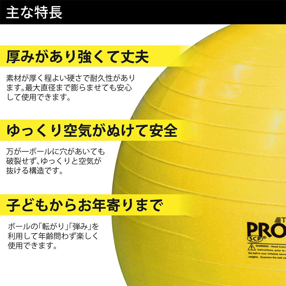 ディーアンドエム D＆M　セラバンド THERBAND エクササイズボール 直径45cm SDS-45 イエロー 詳細2(ALT)