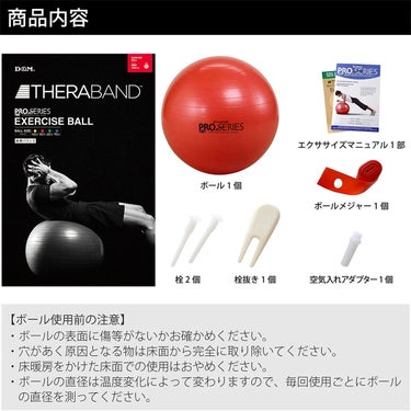 ディーアンドエム D＆M　セラバンド THERBAND エクササイズボール 直径55cm SDS-55 レッド 詳細4(ALT)