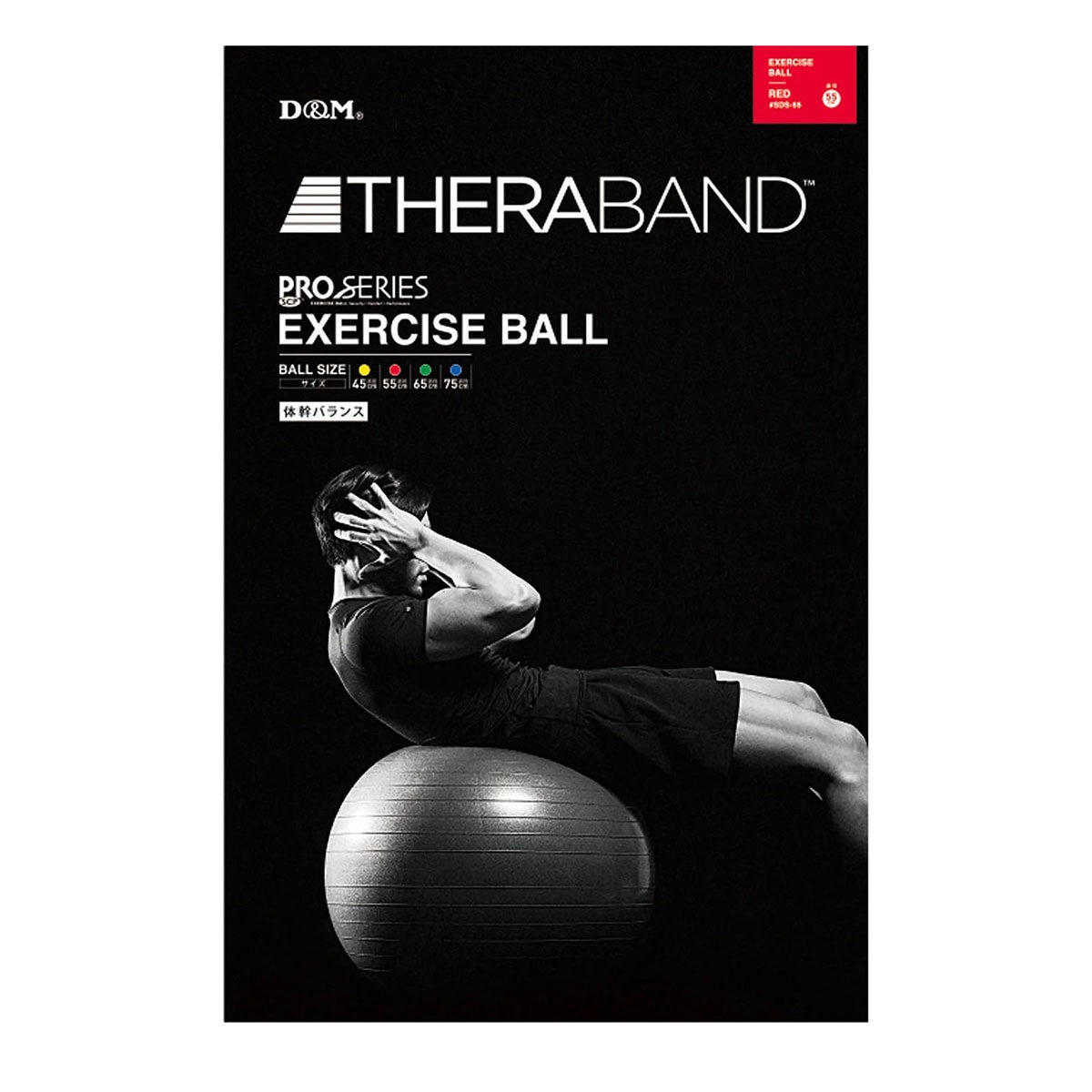 ディーアンドエム D＆M　セラバンド THERBAND エクササイズボール 直径55cm SDS-55 レッド 詳細9(ALT)