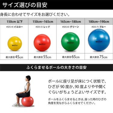 ディーアンドエム D＆M　セラバンド THERBAND エクササイズボール 直径65cm SDS-65 グリーン 詳細5(ALT)
