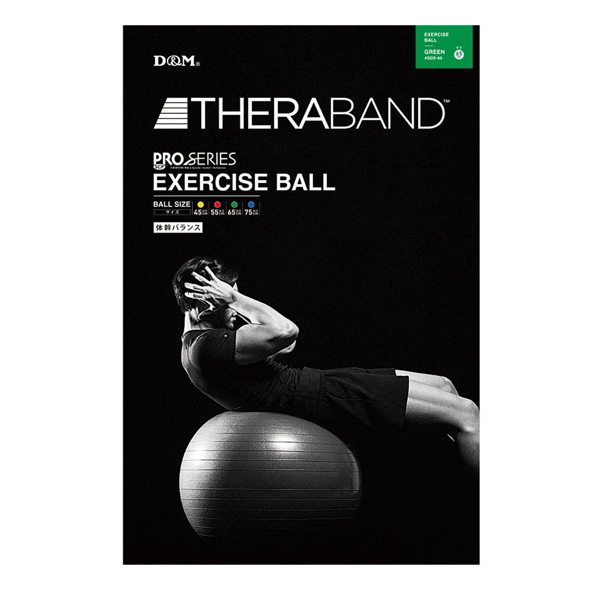 ディーアンドエム D＆M　セラバンド THERBAND エクササイズボール 直径65cm SDS-65 グリーン 詳細9(ALT)