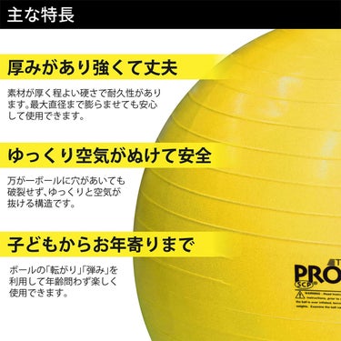 ディーアンドエム D＆M　セラバンド THERBAND エクササイズボール 直径75cm SDS-75 ブルー 詳細2(ALT)