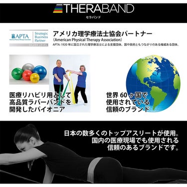 ディーアンドエム D＆M　セラバンド THERBAND エクササイズボール 直径75cm SDS-75 ブルー 詳細6(ALT)