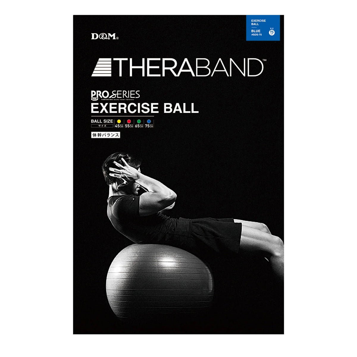 ディーアンドエム D＆M　セラバンド THERBAND エクササイズボール 直径75cm SDS-75 ブルー 詳細9(ALT)