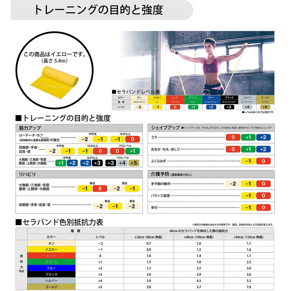 ディーアンドエム D＆M　セラバンド THERBAND セラバンド 5.4m 強度レベル-1 TB-1 イエロー 詳細2(ALT)