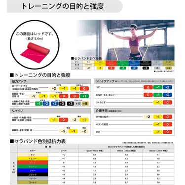 ディーアンドエム D＆M　セラバンド THERBAND セラバンド 5.4m 強度レベル0 TB-2 レッド 詳細2(ALT)
