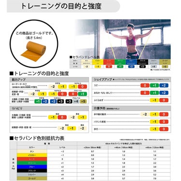 ディーアンドエム D＆M　セラバンド THERBAND セラバンド 5.4m 強度レベル+5 TB-7 イエロー 詳細2(ALT)