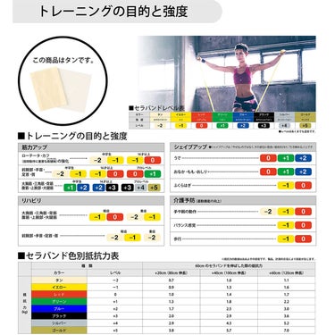 ディーアンドエム D＆M　セラバンド THERBAND セラバンド 2m 強度レベル-2 TBB-0 ベージュ 詳細2(ALT)