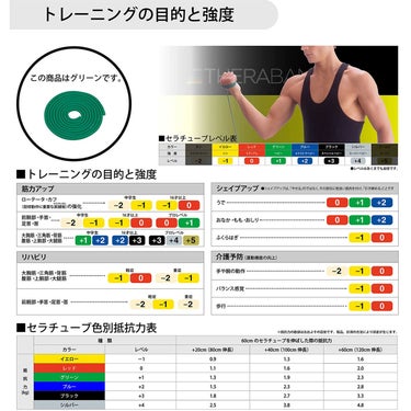 ディーアンドエム D＆M　セラバンド THERBAND セラチューブ 3m 強度レベル+1 TTB-13 グリーン 詳細2(ALT)