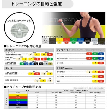 ディーアンドエム D＆M　セラバンド THERBAND セラチューブ 3m 強度レベル+4 TTB-16 グレー 詳細2(ALT)