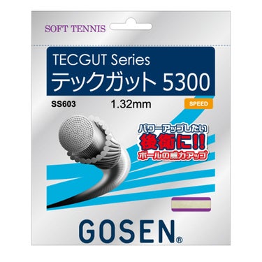ゴーセン GOSEN　TECGUT 5300 ナチュラル　ソフトテニスガット SS603NA ナチュラル