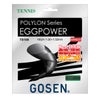 ゴーセン GOSEN　EGGPOWER エッグパワー 16 ブラック　テニスガット TS100BK ブラック
