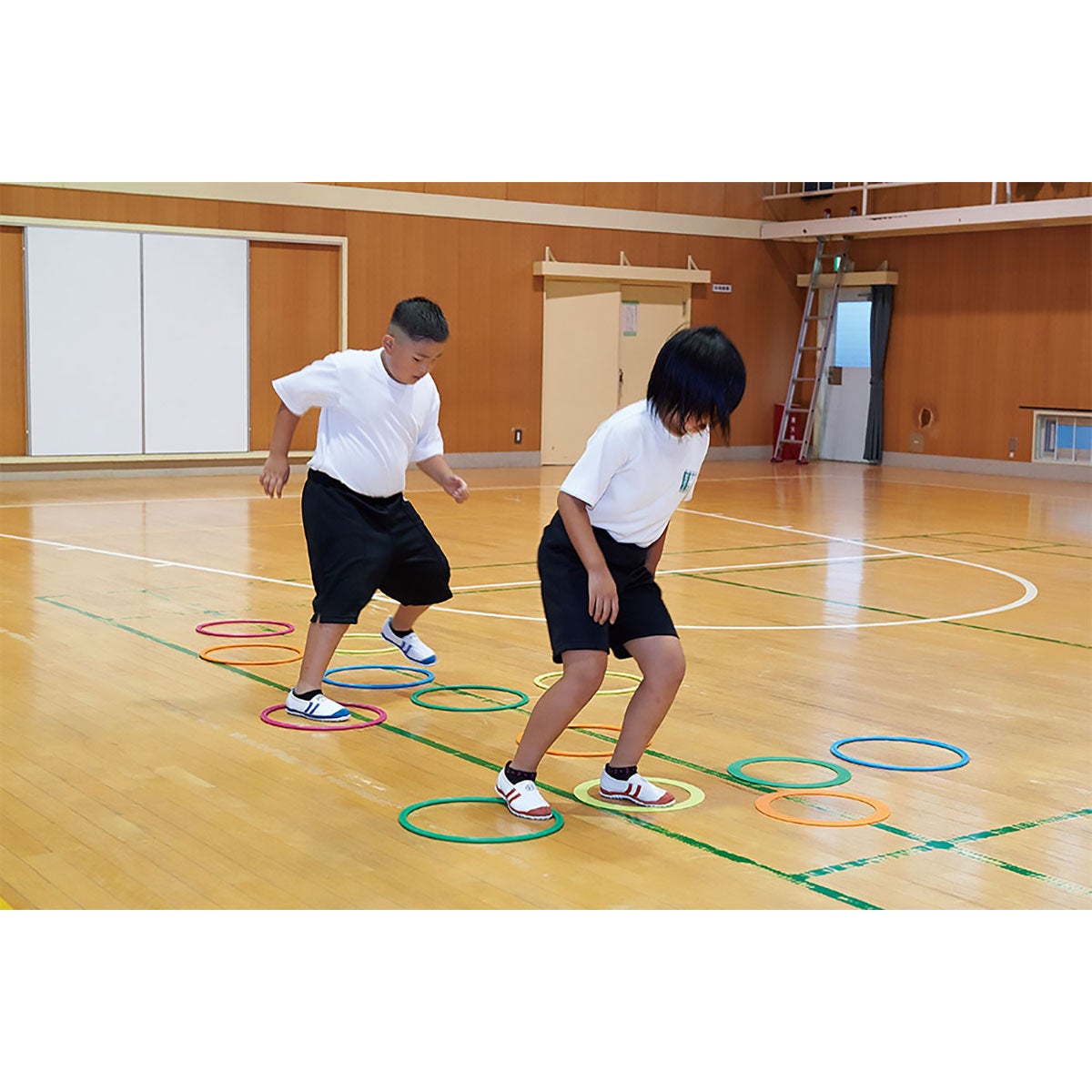ダンノ DANNO　サークルリング 5色×2・10本/1組 D332 詳細2(ALT)