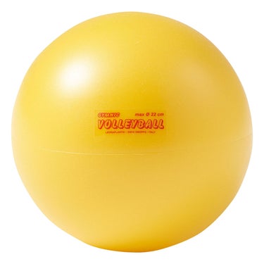 ダンノ DANNO　VOLLEY BALL 20cm イエロー イエロー